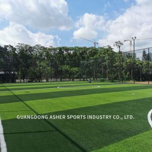 China ENO-D1 プロサッカーのための究極の人工芝 耐久性 安全な低保守性 wholesale