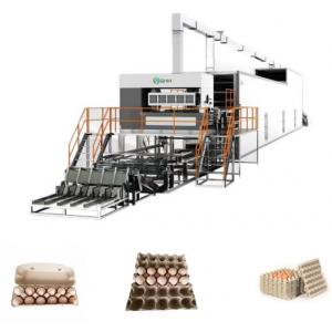 50Hz Pulp Paper Egg Tray Making Machine Pulp Container Manufacturing