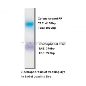 Two Color DNA Electrophoresis Buffer GDSBio Gel Electrophoresis Buffer