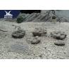 China High Simulated Realistic Dinosaur Fossil Life Size For Zoo Or Technology Center wholesale