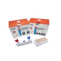 China RT QPCR Feline Infectious Peritonitis Test Taq DNA Feline Coronavirus Test Kit on sale