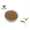 China Herbal Green Tea Standardized Extract HPLC Test Anti Inflammatory wholesale