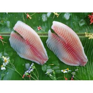 Frozen Tilapia Fillet