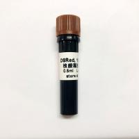 China Non Toxic DSRed Nucleic Acid Gel Stain 10000x 0.5ml on sale