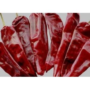 China Seasoning Dried Guajillo Chili 180 ASTA Red Hot Chili Peppers supplier