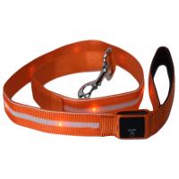 China Luxury LED Dog Leash With Flashlight , Durable Nylon Webbing Dog Leash on sale