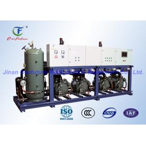 China Parallel Carlyle Refrigeration Compressor Rack For Cold Room supplier