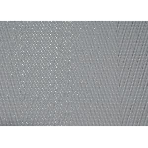 China Sludge Dewatering 161013 Polyester Mesh Belt Monofilament Screen Fabric supplier