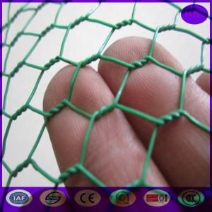 China Green Carbon Steel Chicken Wire Mesh Fencing Electric Poultrynetting from China supplier