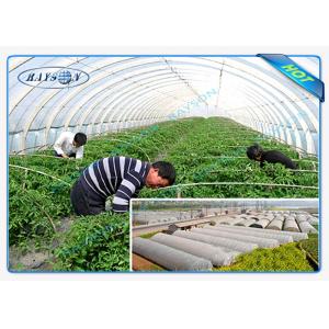 China Heavy Duty Landscape Fabric For Tree Cover , PP Spunbond Non Woven Fabric 22GSM supplier