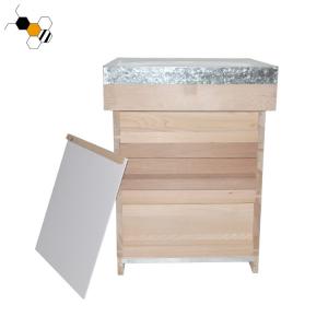 China Galvanized Lid 20mm Thickness Fir Unassembled Bee Hive supplier