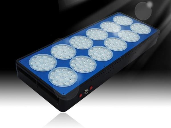 Luzes crescentes da planta apto para a utilização alta do diodo emissor de luz da economia de energia dos jardineiro do mestre do lúmen