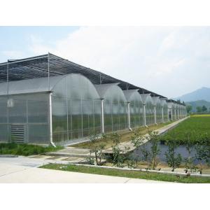 Bolting Connection Polycarbonate Panel Greenhouse , Durable Dome Shaped Greenhouse