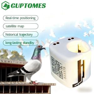 China Lightweight 5.4g Pigeon GPS Trackers Waterproof With Flight Path Tracking And Dual Charging wholesale