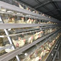 China Chicken Raising A Frame Layer Cages , 3-4tier SONCAO Layer Poultry Farm Cage on sale