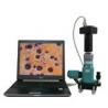 China Portable Metallurgical Microscope SM500 6V 15W Illuminator with Magnetic Stand wholesale