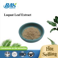 Immune Enhancing Supplements Loquat Leaf Extract Ursolic Acid