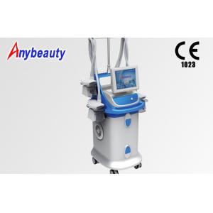China 10'' Fat Freeze Cryolipolysis Vacuum Fat Slimming Machine For Body supplier