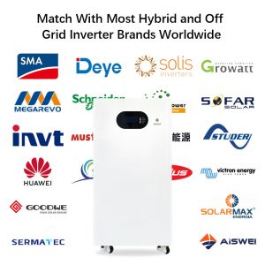 China 48V 200Ah Lithium Battery 51.2V 314Ah Solar Power Bank Hybrid Grid SHS Solar System Whole House Battery Boxes Racks Split Type wholesale