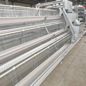 China A Type Free Design Hot Galvanized Chicken Cage 4 layers supplier