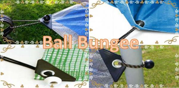 bungee equipment for sale