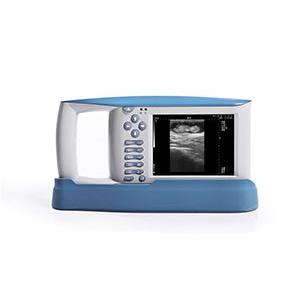 China USB Diagnostic Ultrasound Equipment With OB Software For Animals And 100 Images Storage supplier