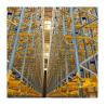 China Common High Density Pallet Rack Stacker Crane For Industrial Warehouse Racking System wholesale