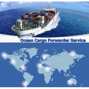 Professional Best price of sea freight from  shenzhen,guangzhou, shanghai to EL PASO, USA
