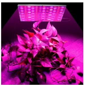 Full Spectrum 45W 85V Indoor Plant Grow Light