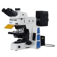 China Trinocular APO Led Fluorescent Microscope PL10x22mm Trinocular Head on sale