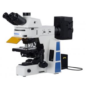 Trinocular APO Led Fluorescent Microscope PL10x22mm Trinocular Head