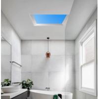 China Topsung blue sky cloud commercial led panel light 2*2 FT 600*600mm Hall hospital sanatorium on sale