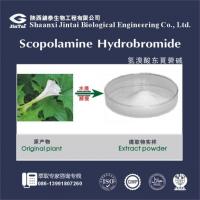 High Purity Scopolamine Hydrobromide 99% Powder/ Hyoscine Hydrobromide/ Scopolamine